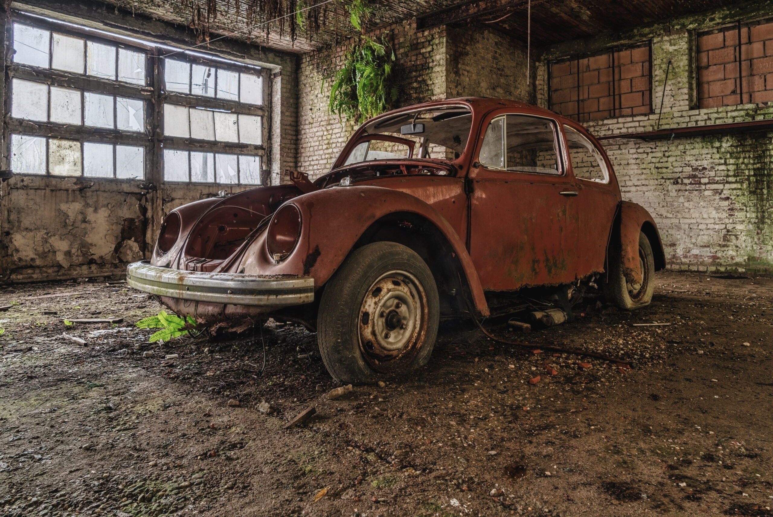 Junk Car for Cash